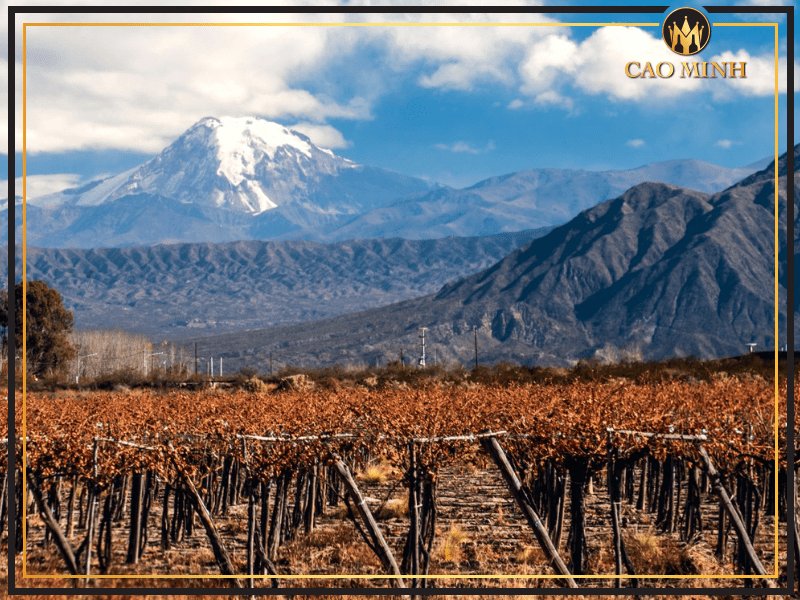 Vùng rượu vang Aconcagua 