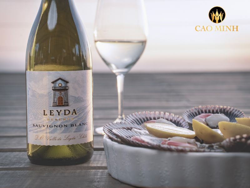 Lời khuyên về cách trải nghiệm rượu vang Chile Leyda Reserva Sauvignon Blanc