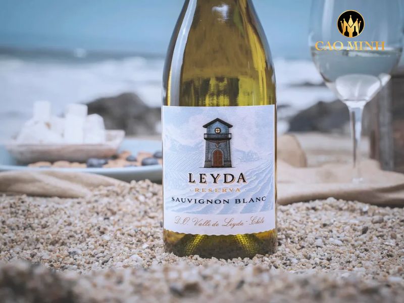 Khám phá nét tươi mới, sôi động của rượu vang Chile Leyda Reserva Sauvignon Blanc