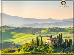 Vùng làm vang Tuscany - Nơi ra đời những dòng vang ngon nhất nước Ý