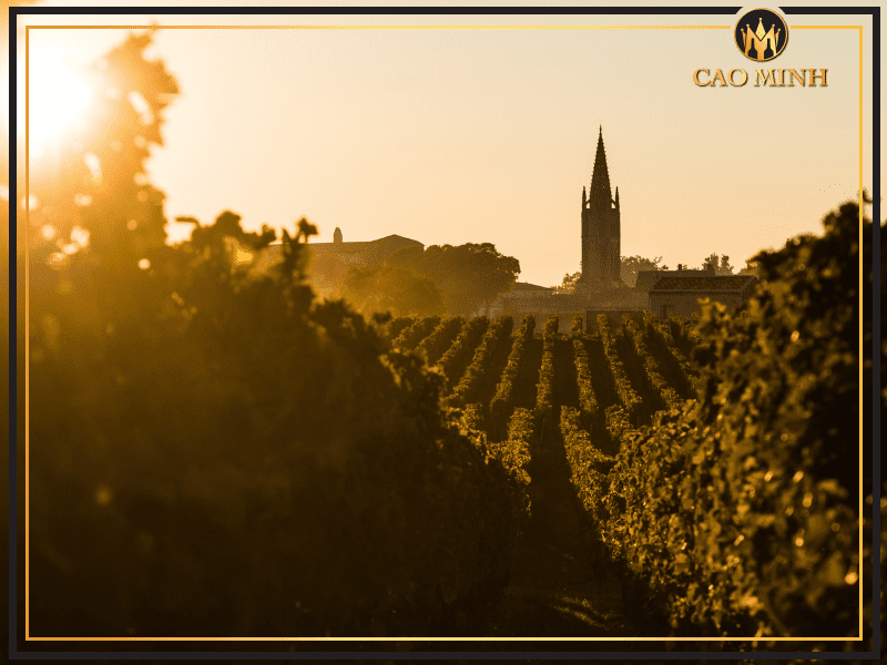 Giới thiệu về Saint-Emilion - Vùng rượu vang lịch sử của Bordeaux