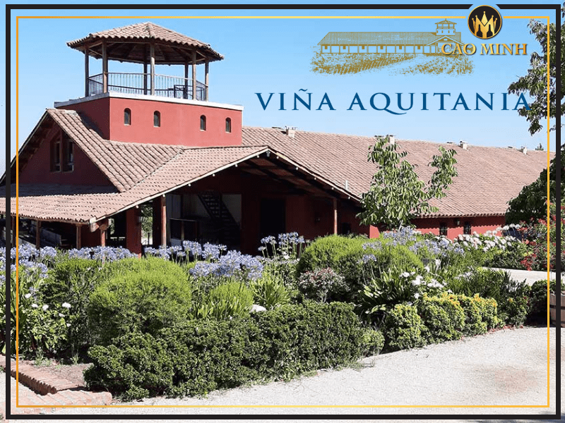 Giới thiệu về Vina Aquitania - Nơi bắt nguồn những chai rượu vang thanh lịch, chất lượng cao