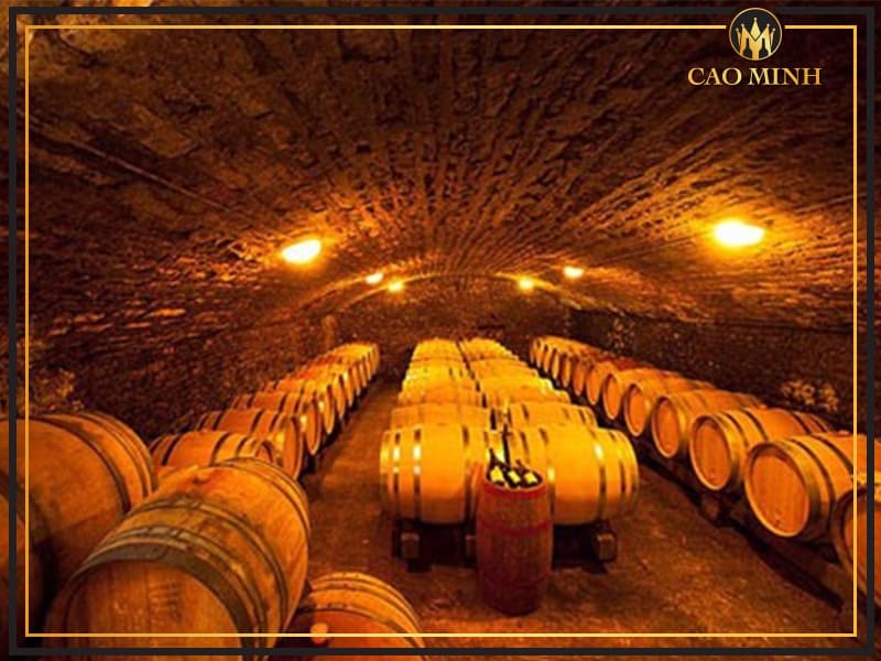 Hầm rượu vang luôn giữ được nhiệt độ ổn định để bảo quản rượu