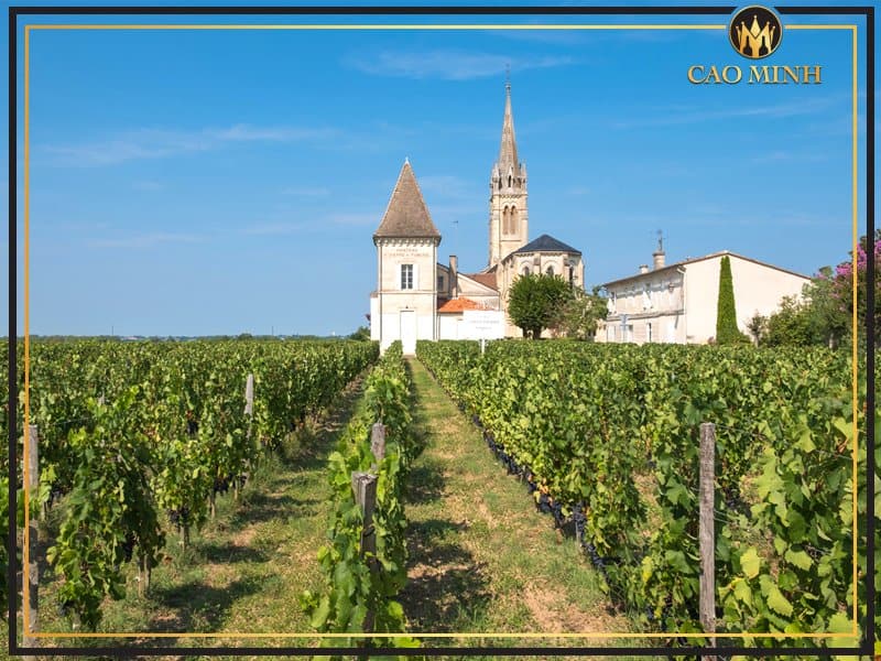 Pomerol là một trong những vùng nhỏ nhất ở Bordeaux
