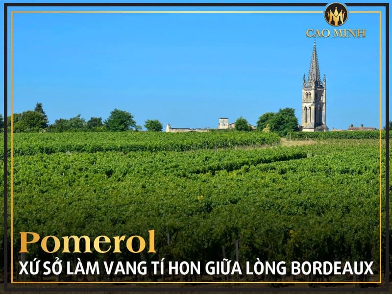 Khám phá Pomerol - Xứ sở làm vang tí hon giữa lòng Bordeaux