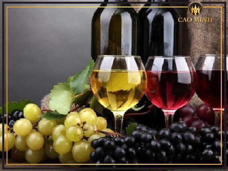 Chọn rượu vang theo các giống nho nổi tiếng 