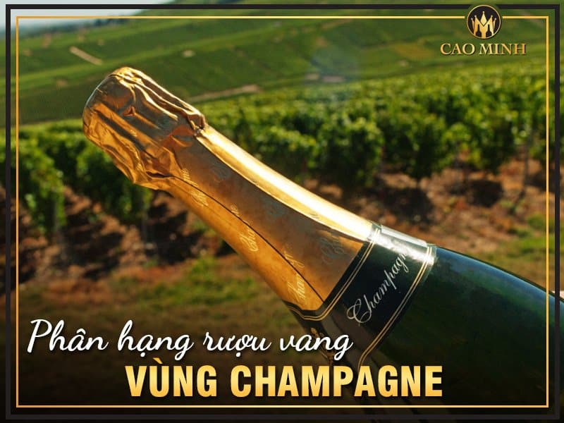 [Từ A đến Z] Phân hạng rượu vang Vùng Champagne