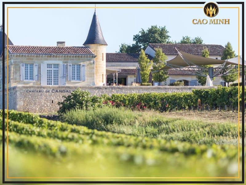 Giới thiệu Chateau De Candale - Điền trang danh tiếng với những chai rượu vang hảo hạng 