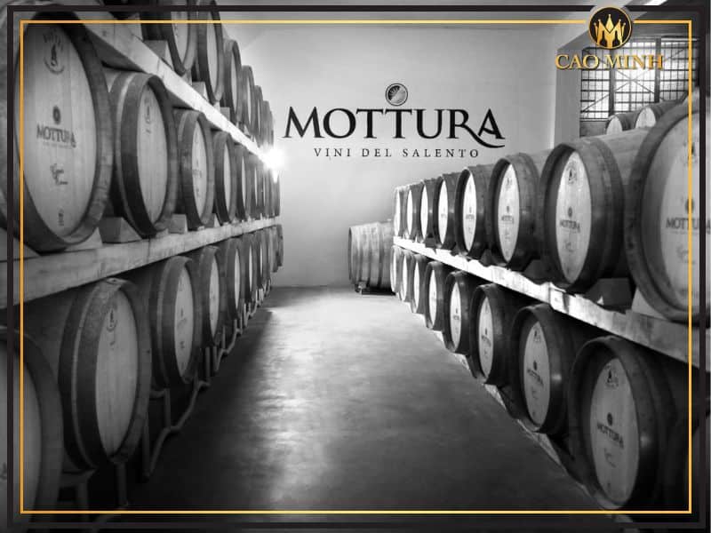Giới thiệu về nhà làm vang Mottura - Nơi khai sinh nên những chai rượu vang Ý Armonia Mottura Limited Editon đẳng cấp