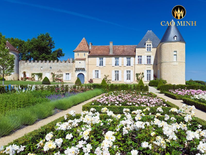 nhà sản xuất rượu vang Chateau d'Yquem