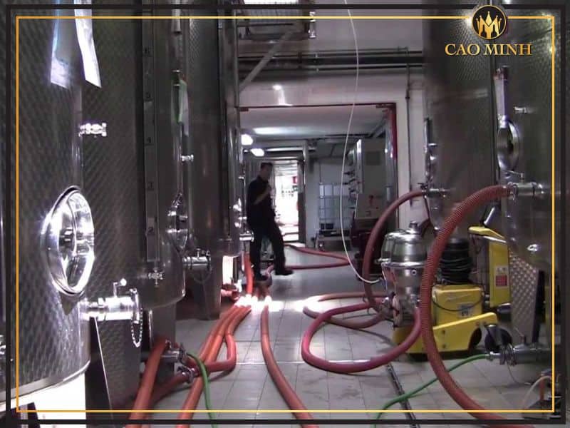 Quy trình sản xuất rượu vang Ý Corte del Golfo Rosso Lazio