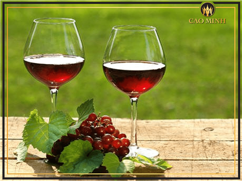 Rượu vang đỏ rất tốt cho sức khỏe con người