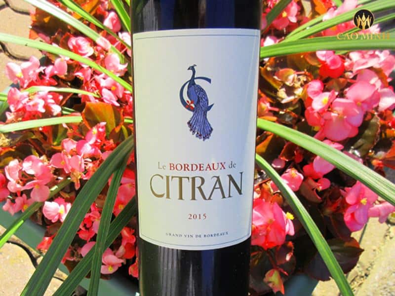 Ghi chú nếm thử rượu vang Pháp Le Bordeaux de Citran 