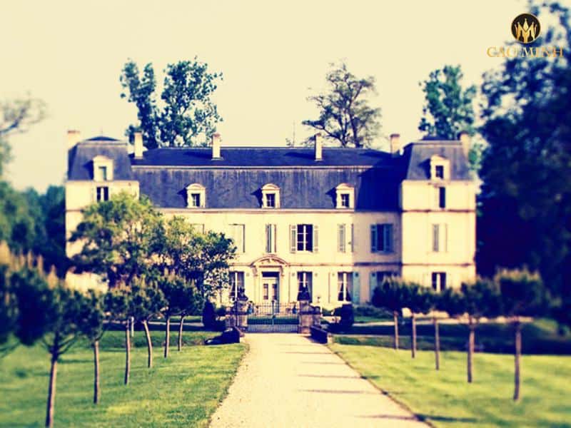 Giới thiệu về Château Citran - Cây cổ thụ trong làng rượu vang Bordeaux 