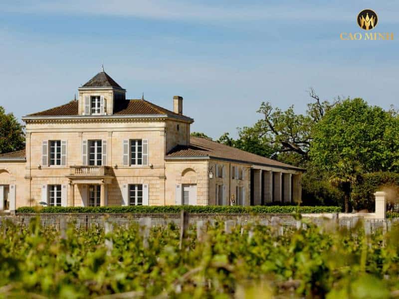 Khám phá về thương hiệu nổi tiếng Château Montrose - Tác giả của những chai vang Pháp giá trị và độc đáo 