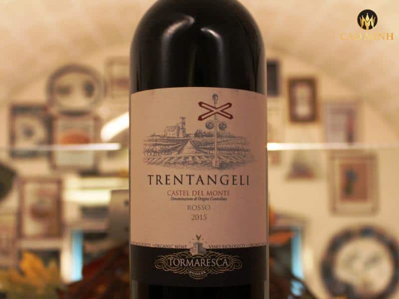Nếm thử rượu vang Ý Tormaresca Trentangeli Castel Del Monte Rosso
