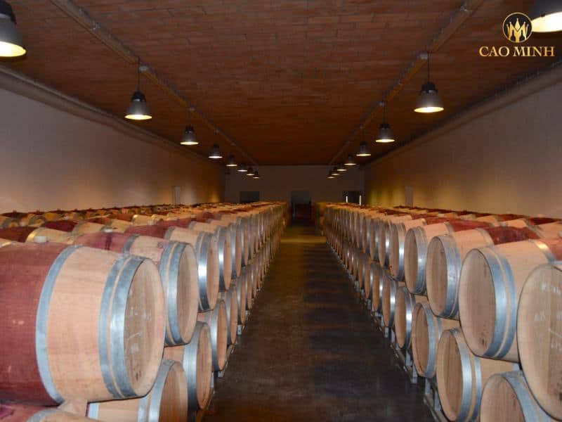 Quy trình sản xuất rượu vang Pháp Chateau Haut Bages Liberal