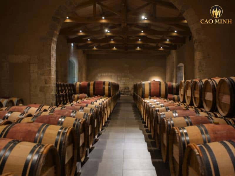 Quy trình sản xuất rượu vang Ý Prunotto Mompertone Monferrato