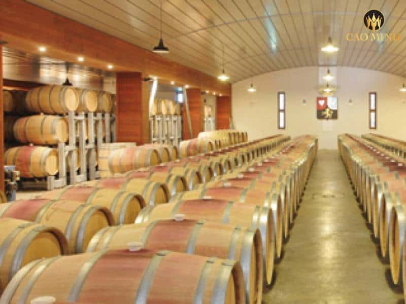 Quy trình sản xuất rượu vang Chile Yali Plus Limited Release