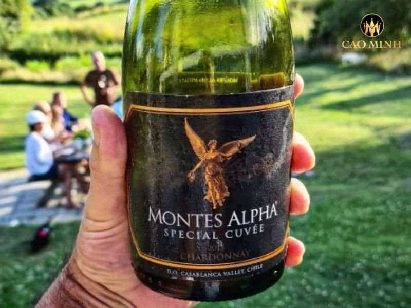 Rượu vang Chile Montes Alpha Special Cuvee Chardonnay