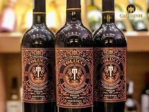 Rượu vang Tolucci IGT Puglia - Món quà biếu sang trọng cho người thân