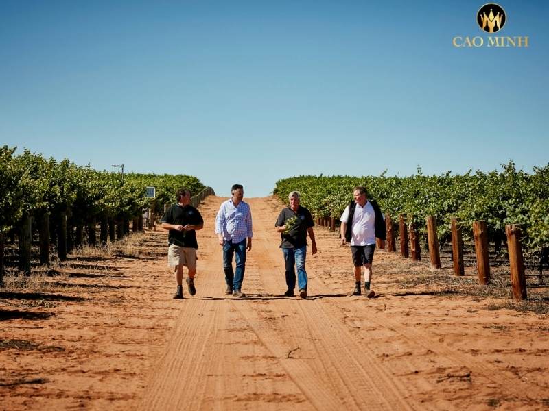 Oxford Landing - Vùng sản xuất rượu vang nổi tiếng ở Australia