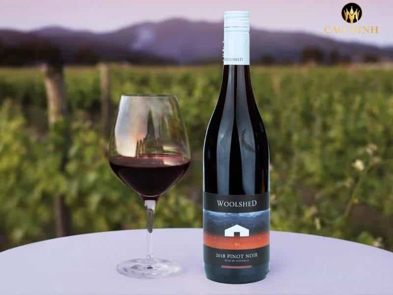 Rượu vang Úc Woolshed Pinot Noir - Rượu vang thời thượng mà nhà làm vang Woolshed tạo ra