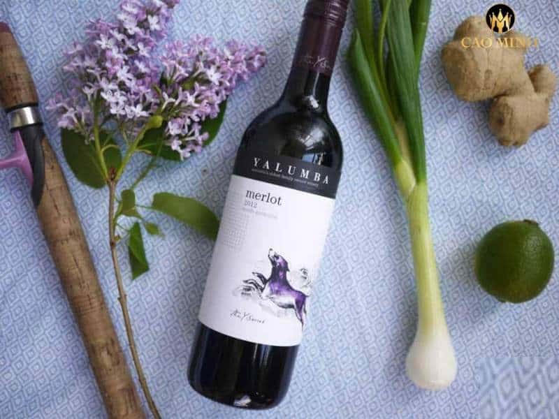 Rượu vang Úc Yalumba Y Series Merlot - Nét đẹp mang nét “ Yalumba ”