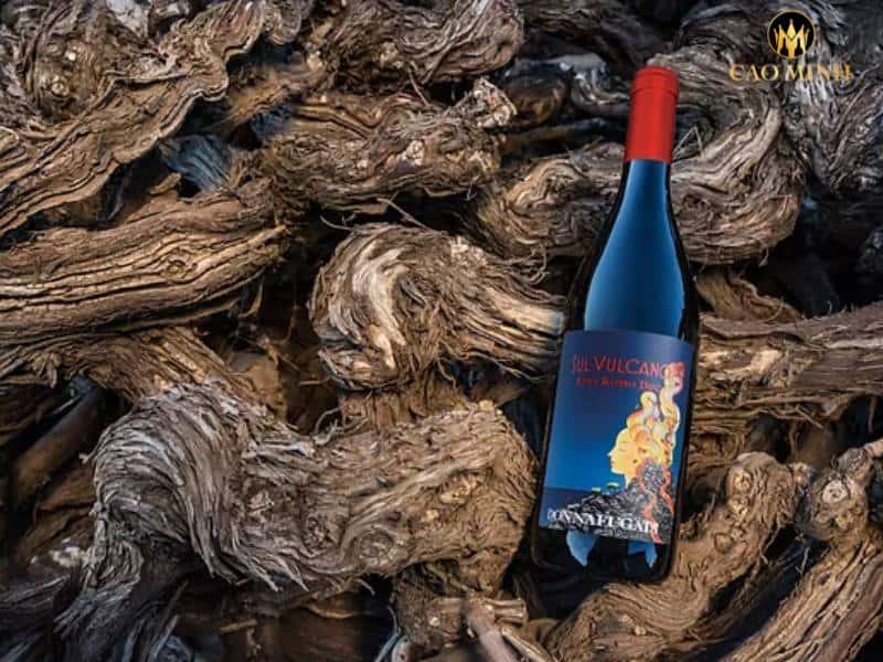 Rượu vang Ý Donnafugata Sul Vulcano Rosso Etna - Chất lượng đi đôi với giá thành