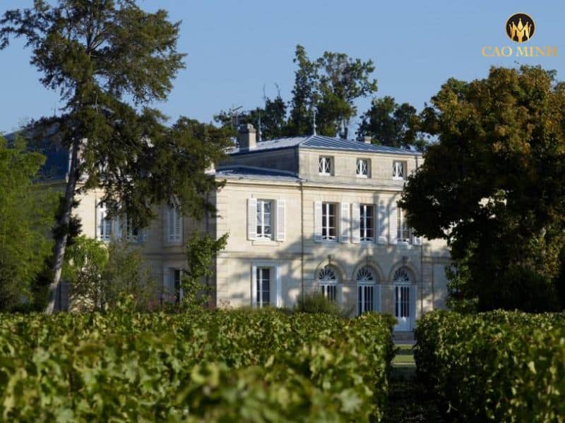 Tìm hiểu về Château Belgrave - Từ lâu đài săn bắn đến nhà làm rượu vang kiệt xuất 