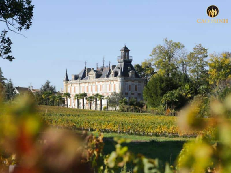 Tìm hiểu về Château Marquis d'Alesme Becker - Từ nhà sản xuất gia đình đến thương hiệu rượu vang Pháp danh tiếng.