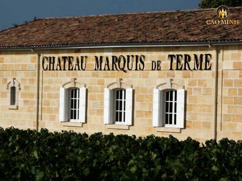 Tìm hiểu về Château Marquis de Terme - Nơi khai phá hương vị tinh tế của rượu vang Margaux