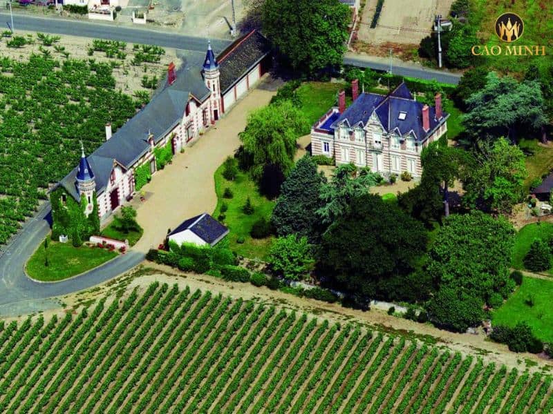 Khám phá nhà làm vang Chateau de Montgueret lừng danh đất nước Pháp