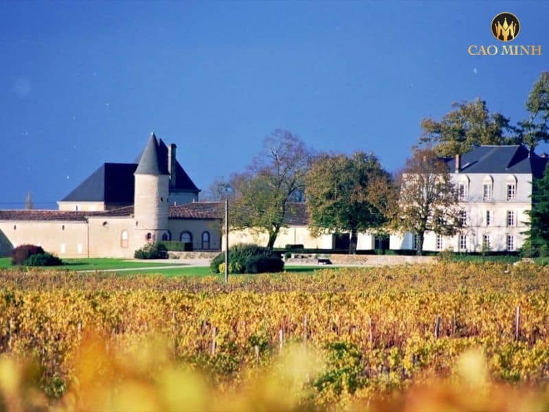 Khám phá nhà làm vang Château Guiraud danh tiếng bậc nhất đất nước Pháp