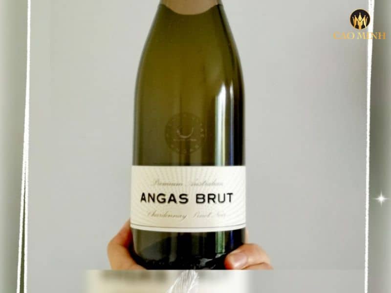 Nếm thử chai rượu vang Úc Angas Brut Premium Cuvee