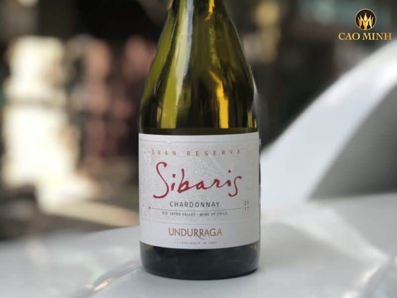 Nếm thử hương vị tuyệt vời của chai rượu vang Sibaris Gran Reserva Chardonnay