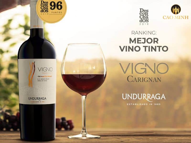 Nếm thử hương vị tuyệt vời của chai rượu vang Undurraga Vigno Carignan