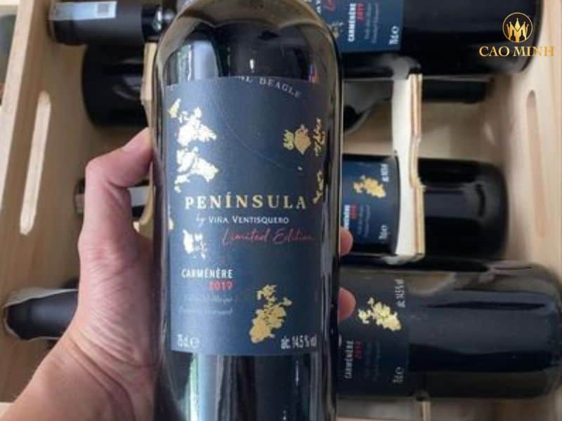 Nếm thử hương vị tuyệt vời của chai rượu vang Ventisquero Peninsula Limited Edition Carmenere