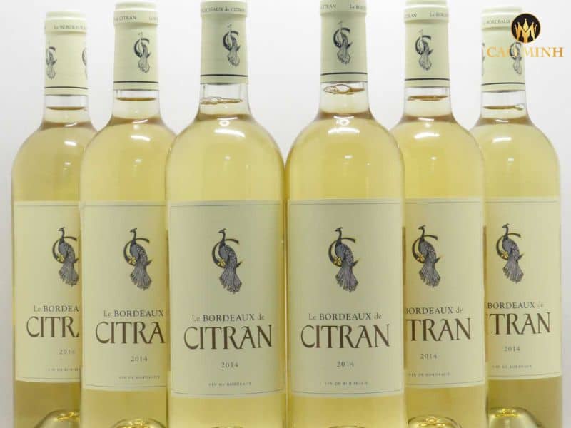 Nếm thử rượu vang Pháp Le Bordeaux de Citran Blanc 