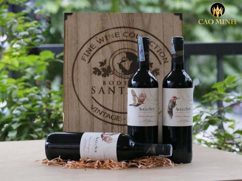 Tìm hiểu về rượu vang Chile Aves Del Sur Clasico – được tạo ra bởi những giống nho đi đầu xu thế sản xuất rượu vang đỏ