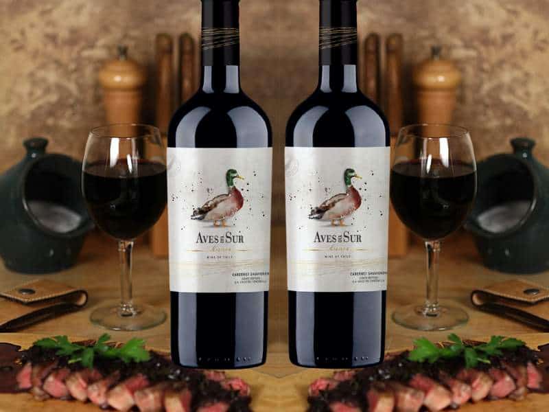Rượu vang Chile Aves Del Sur Reserva – đẳng cấp mang tầm vóc quốc tế của ngành rượu vang ở Chile