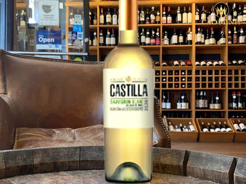 Hương thơm và mùi vị đặc biệt mà rượu vang Chile Castilla Sauvignon Blanc mang đến