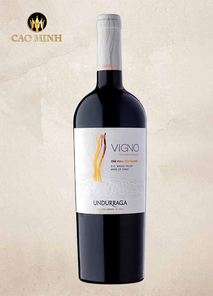 Rượu vang Chile Undurraga Vigno Carignan