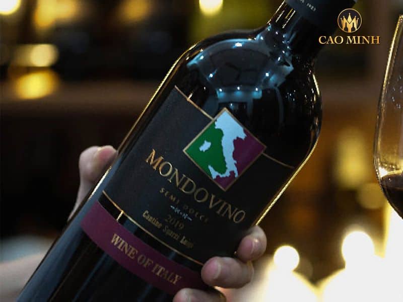 Rượu vang Mondovino: Ôm trọn tinh hoa ngành công nghiệp làm vang Ý