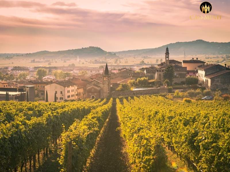 Veneto - Vùng đất rộng lớn với hàng ngàn điền trang và nhà máy sản xuất rượu vang nổi tiếng