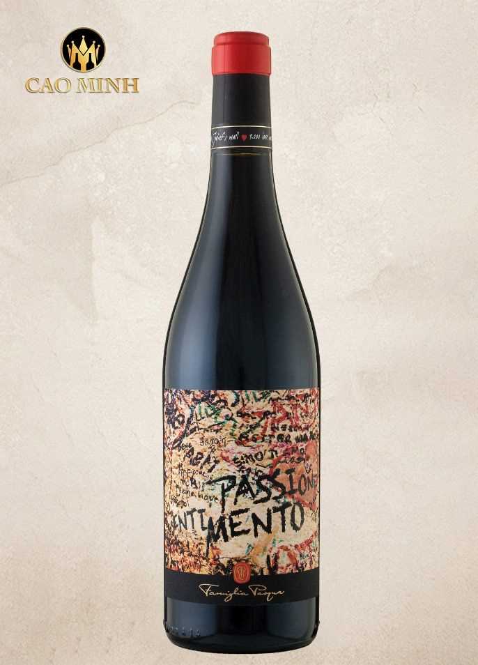 Rượu Vang Ý Pasqua Passione Sentimento Rosso Veneto IGT