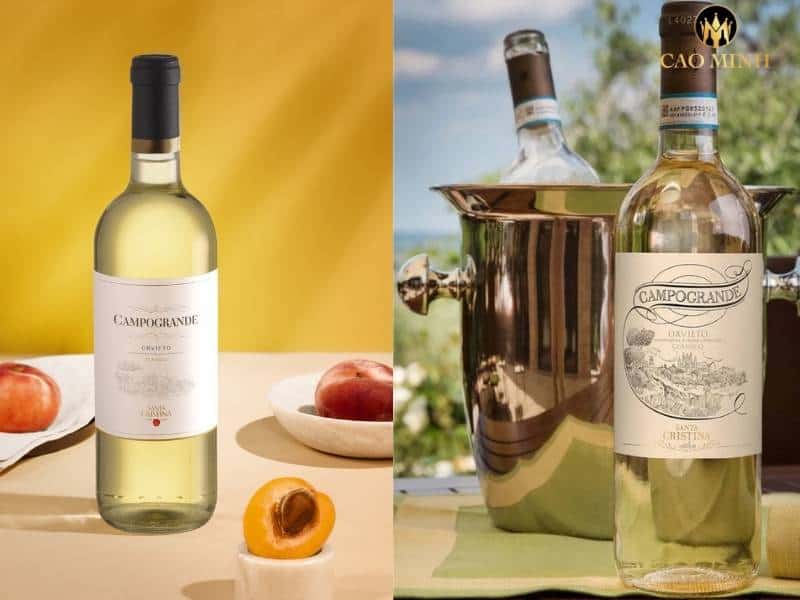 Rượu vang Ý Santa Cristina Campogrande Orvieto Classico - Phong cách thời thượng hương vị đẳng cấp