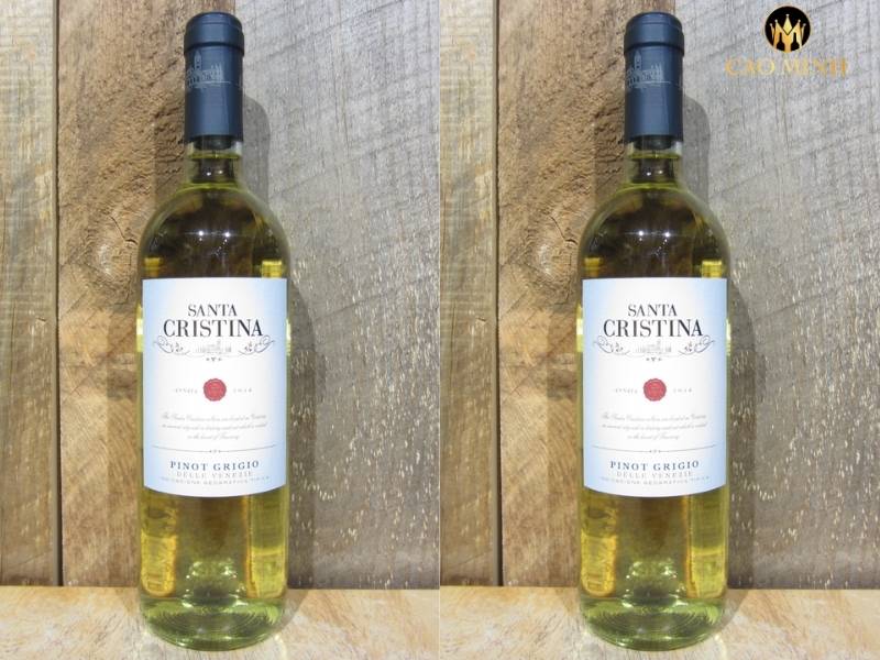 Rượu vang Ý Santa Cristina Pinot Grigio Della Venezie - Vang trắng thời thượng trên thị trường quốc tế
