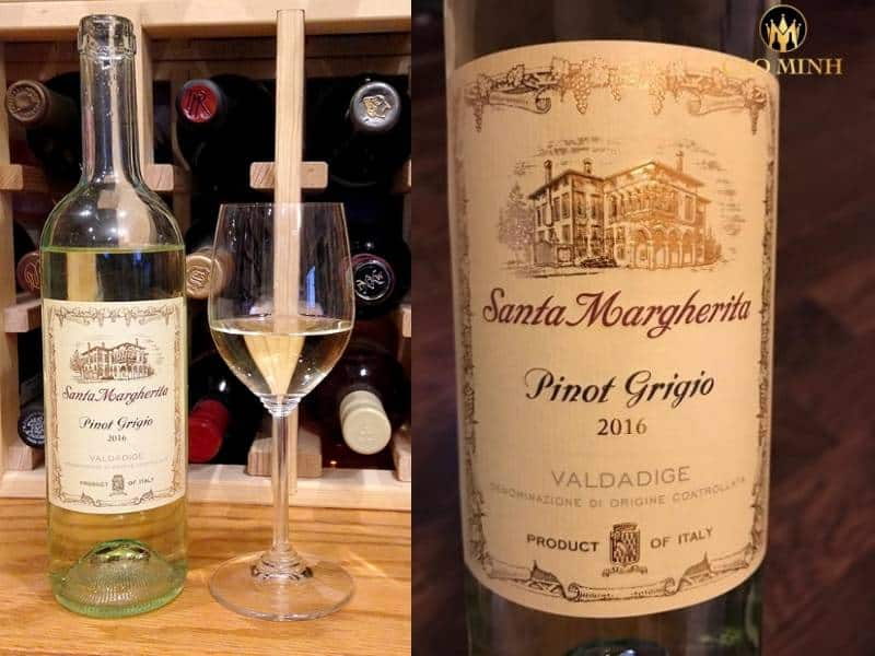 Rượu vang Ý Santa Margherita Pinot Grigio Valdadige - Chai vang trắng mang lại danh tiếng cho nhà làm vang Santa Margherita 