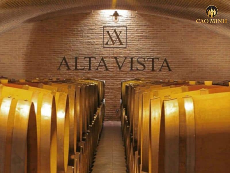 Tìm hiểu về Alta Vista - Thương hiệu lâu đời trong sản suất vang cổ điển ở Argentina